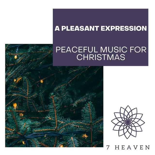 A Pleasant Expression - Peaceful Music For Christmas