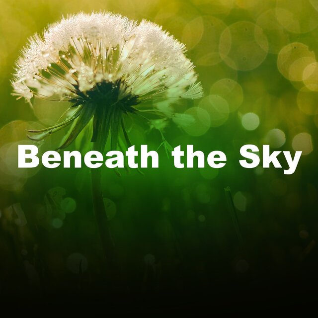 Beneath the Sky