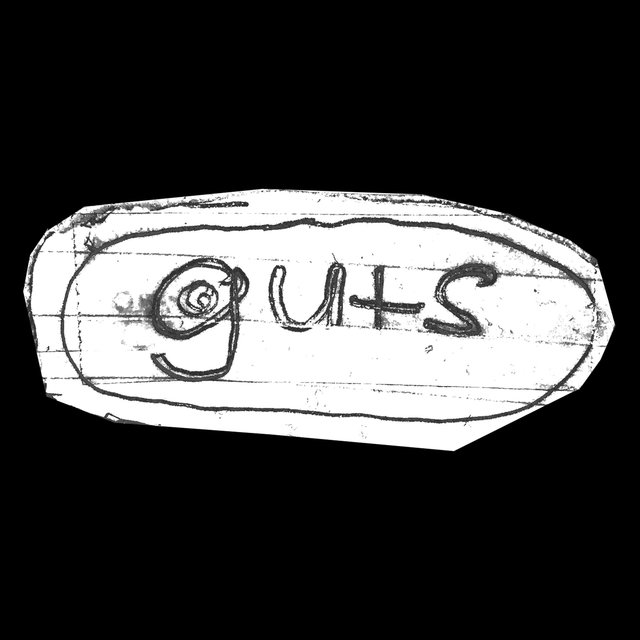 guts