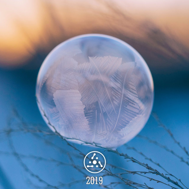 2019