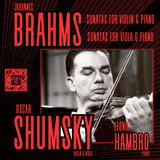 Violin Sonata No. 1 in G Major, Op. 78: I. Vivace, ma non troppo