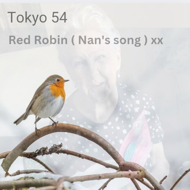 Red Robin ( Nan's song )