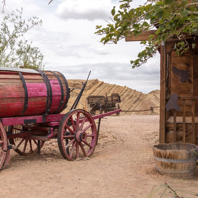 Pioneer