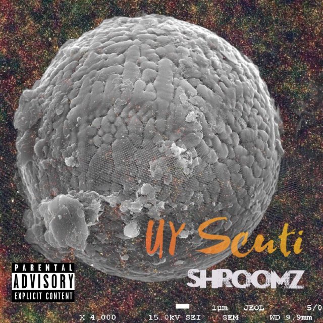 UY Scuti