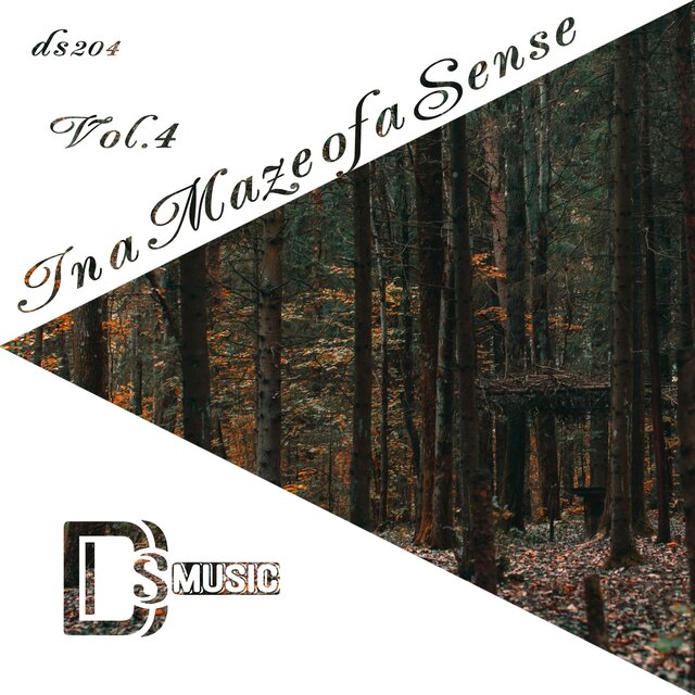 In a Maze of a Sense, Vol. 4