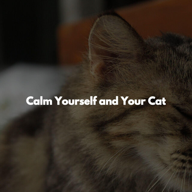 Calm Yourself and Your Cat