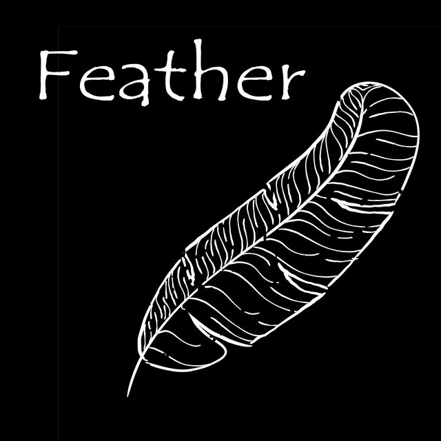 Feather