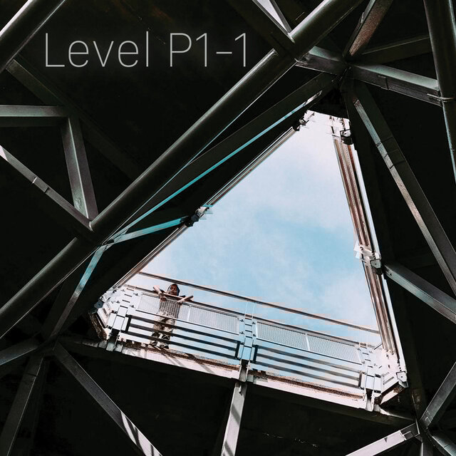 Level P1 One