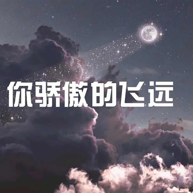你骄傲的飞远