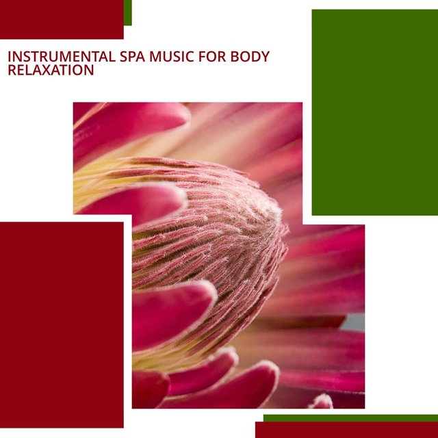 Instrumental Spa Music For Body Relaxation