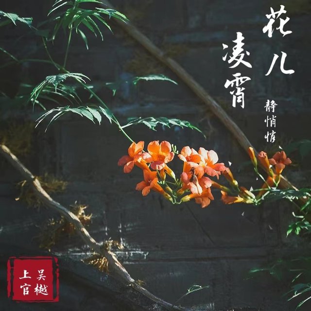 凌霄花儿静悄悄