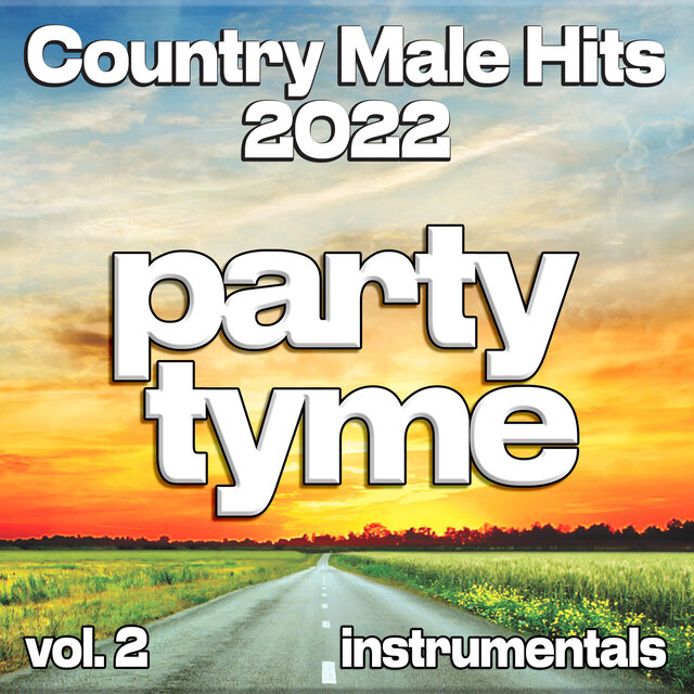 Country Male Hits 2022, Vol. 2 (Instrumental)
