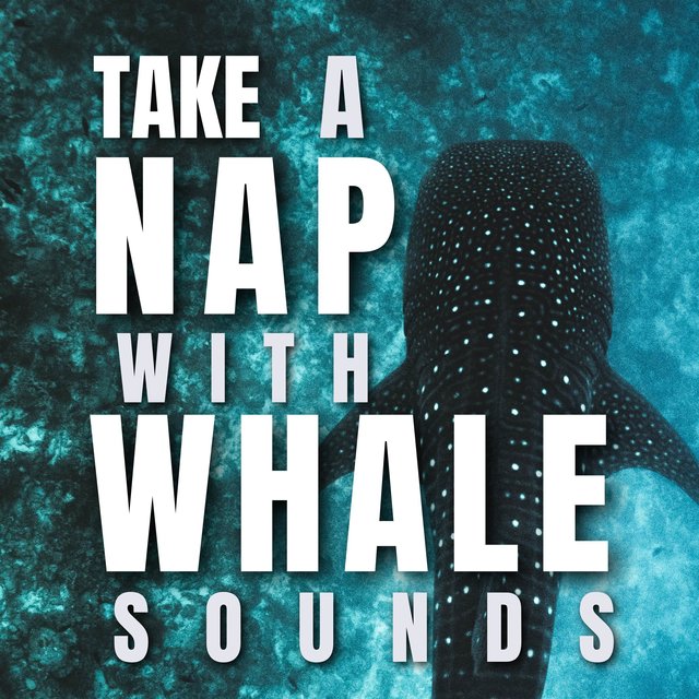 Take a Nap with Whale Sounds