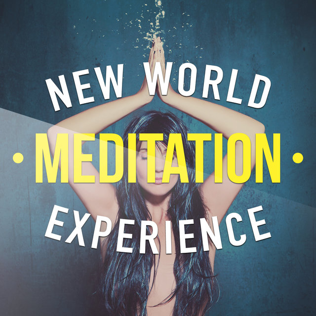 New World Meditation Experience