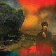 Cover art for album We've Been Going About This All Wrong by Sharon Van Etten