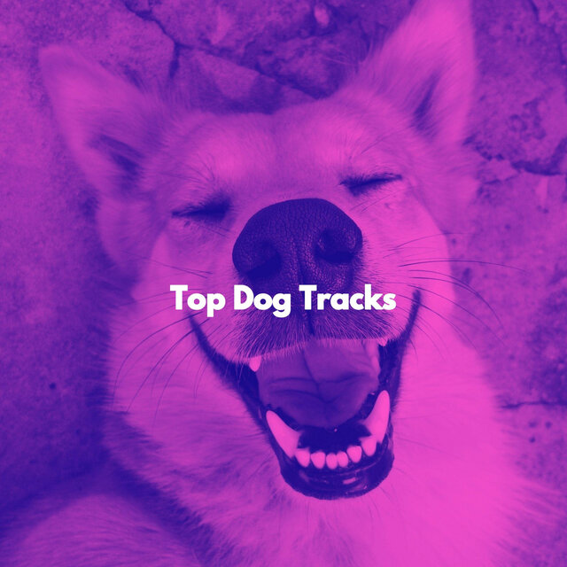 Top Dog Tracks