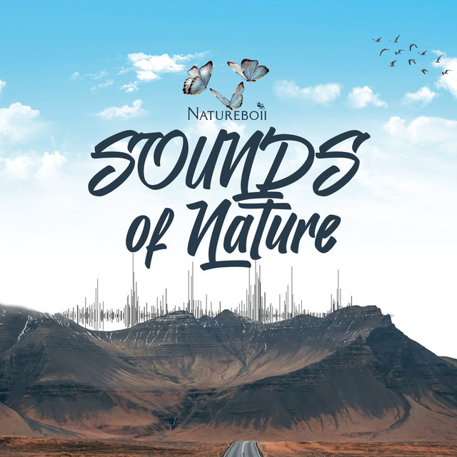 Sounds of Nature