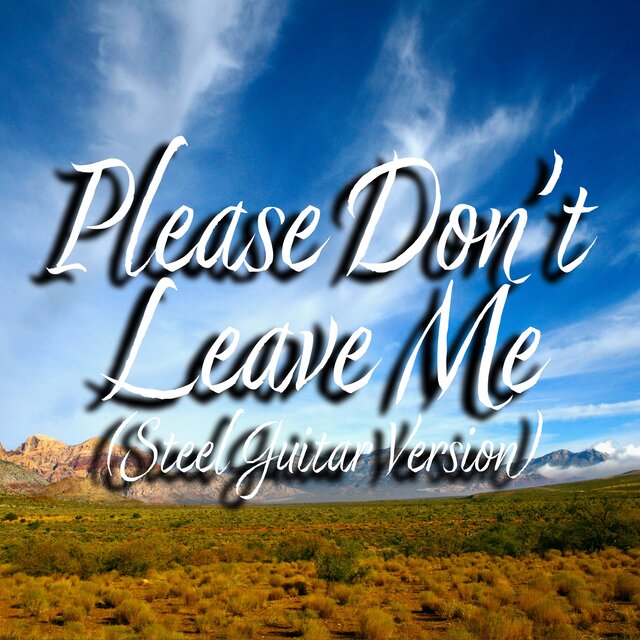 Please Don't Leave Me ( Steel Guitar Version )