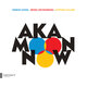 Cover art for album NOW by AKA MOON