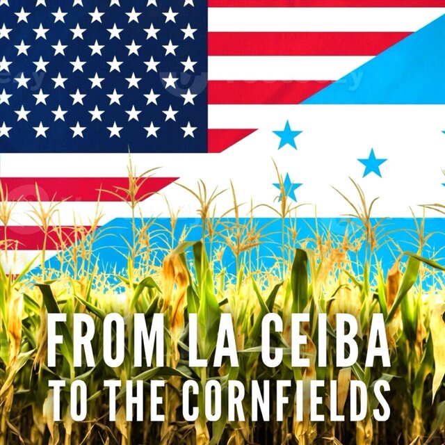 From La Ceiba to the Cornfields