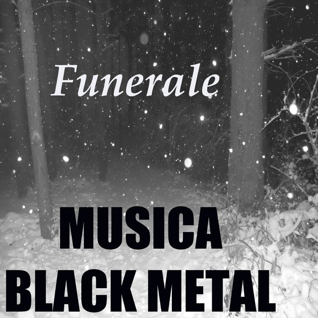 Musica black metal (Mix)