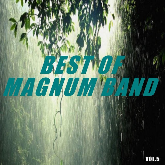Best of magnum band (Vol.5)