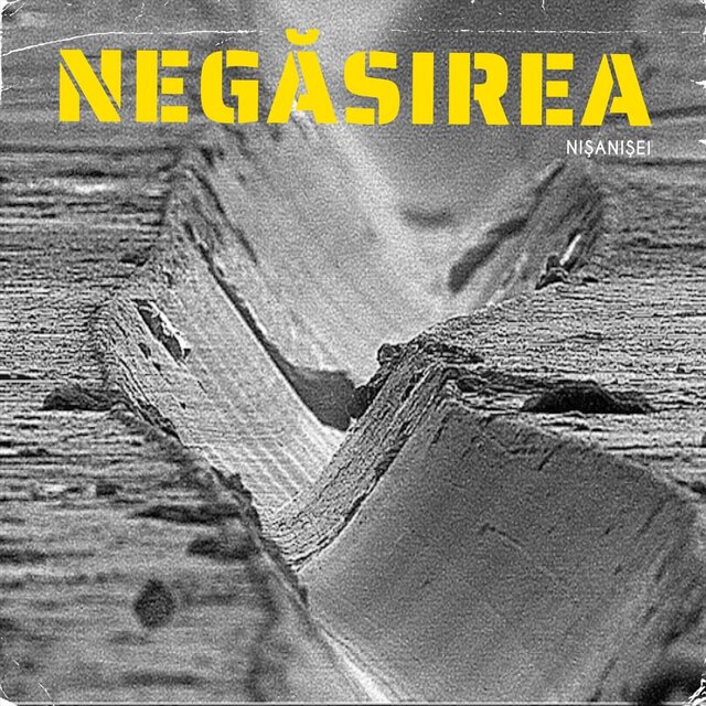 NEGĂSIREA