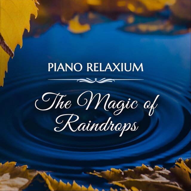 The Magic of Raindrops