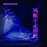 风吹不走蝴蝶