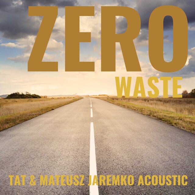 Zero Waste (Acoustic) by Tat on TIDAL