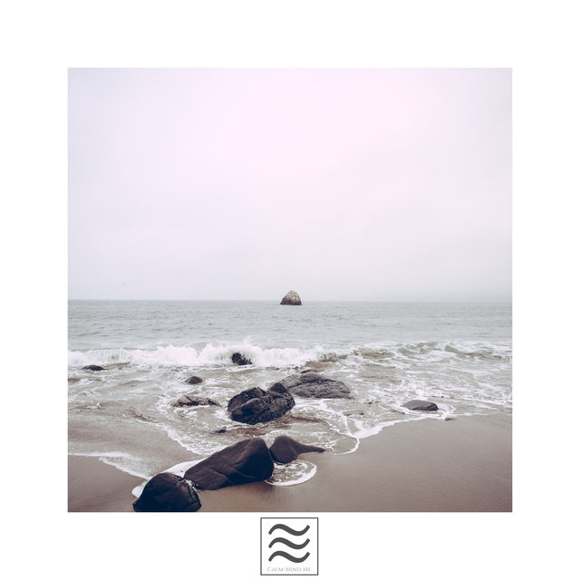Sober Noisy Nice Tones of Nature Ocean and Sea