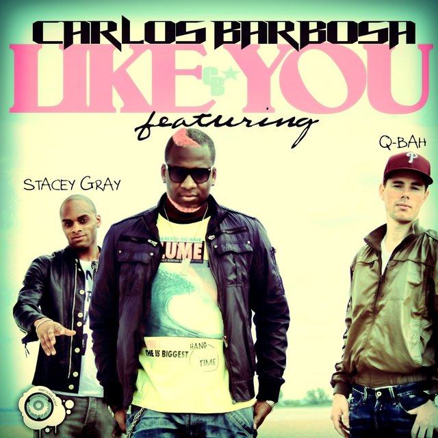 Like You (The Remixes)