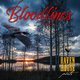 Cover art for album Bloodlines by Raven House Poets