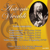 Violin Concerto in G Minor, Op. 6 No. 1, RV 324: III. Allegro
