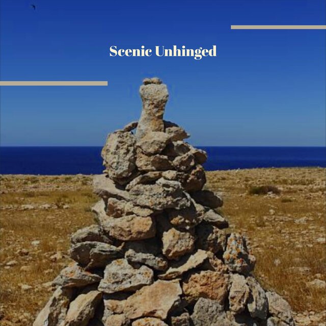 Scenic Unhinged