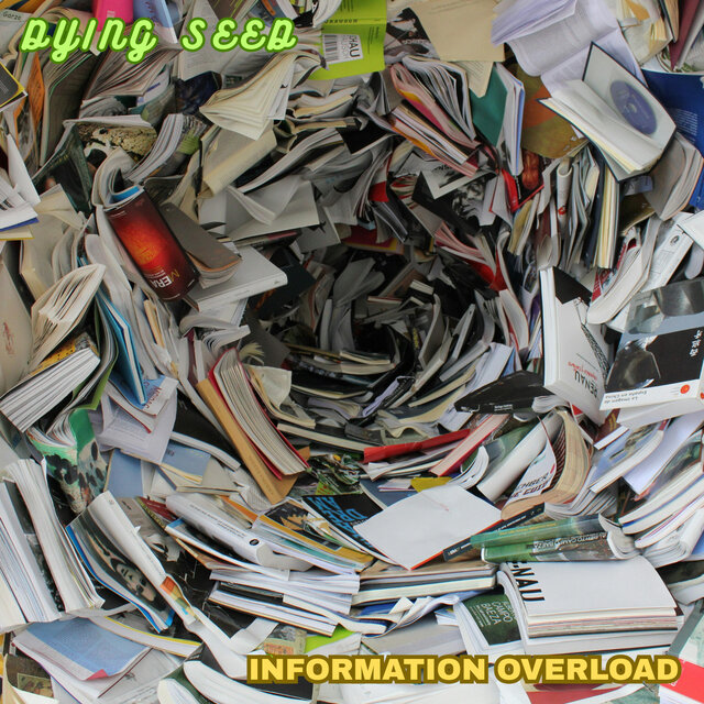 Information Overload
