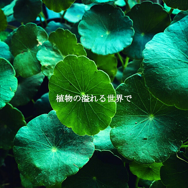植物の溢れる世界で