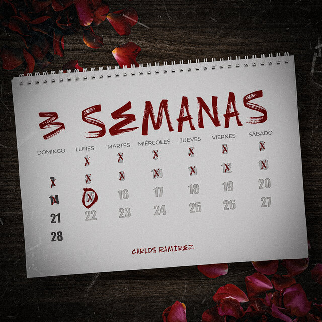 3 Semanas