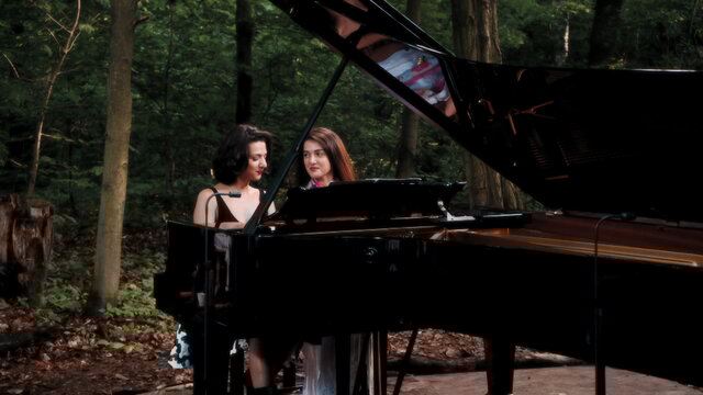 Slavonic Dance for Four Hands in E Minor, Op. 72/2: Dumka (Allegretto grazioso)