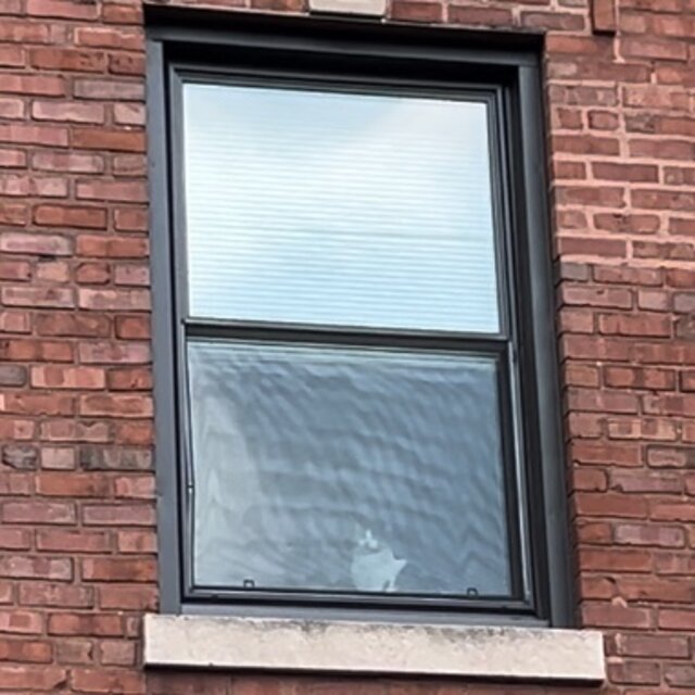 Cover art for album July 2025 by User