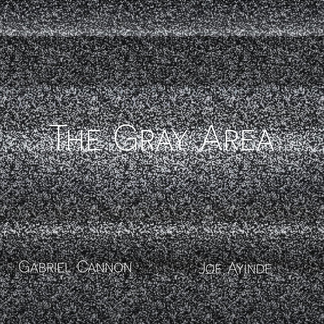 The Gray Area (feat. Joe Ayinde)