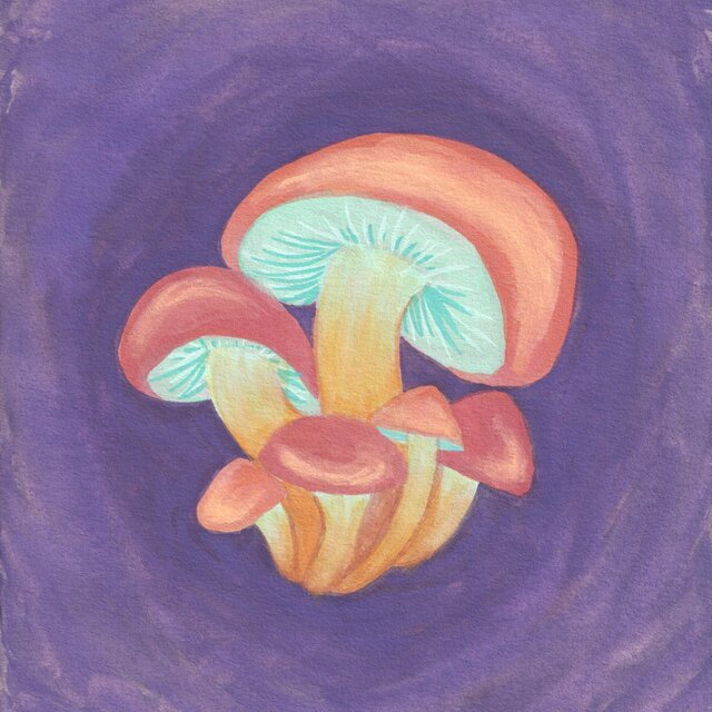 hypholoma