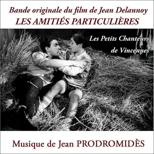 Les Amitiés particulières
