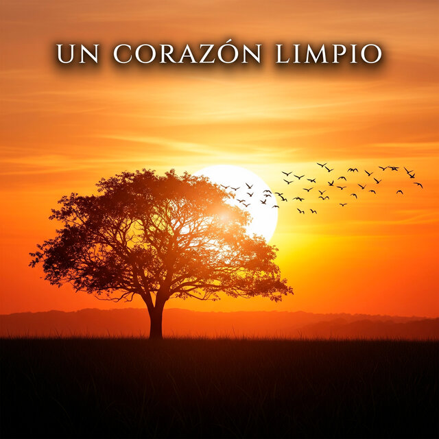 Un Corazón Limpio