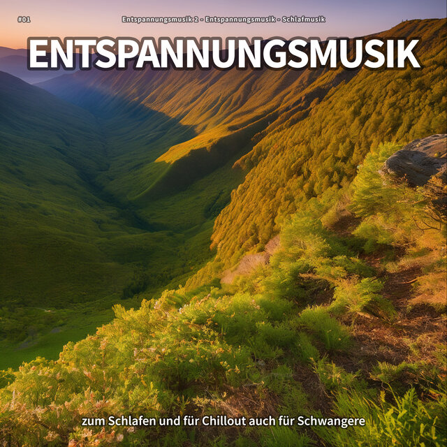 #01 Entspannungsmusik zum Schlafen und für Chillout auch für Schwangere