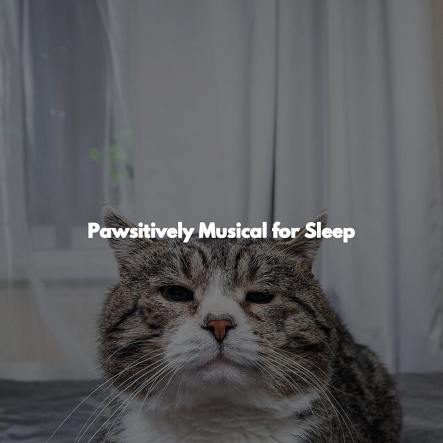 Pawsitively Musical for Sleep