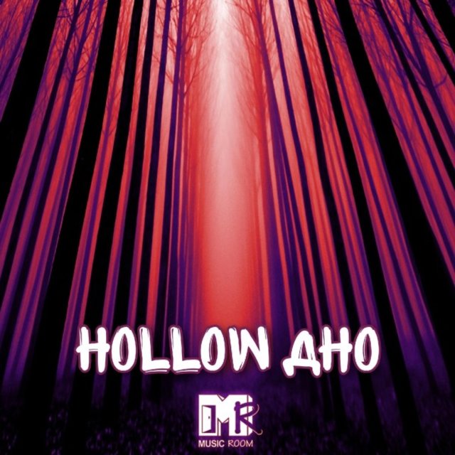 Hollow дно