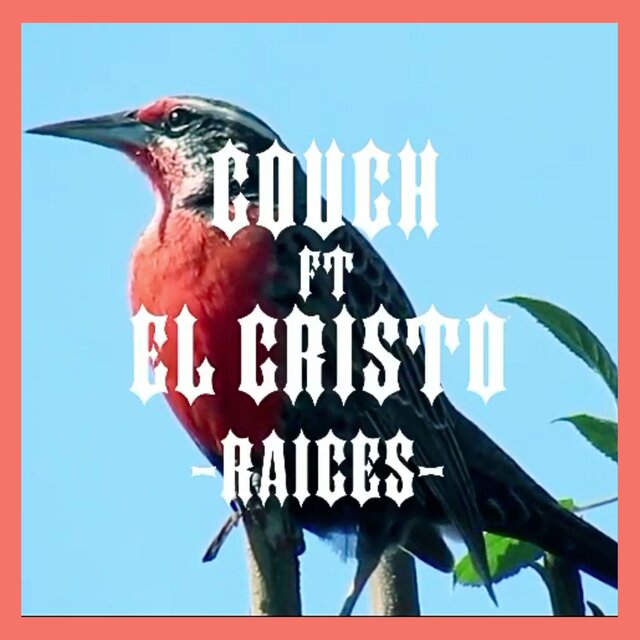 Raíces