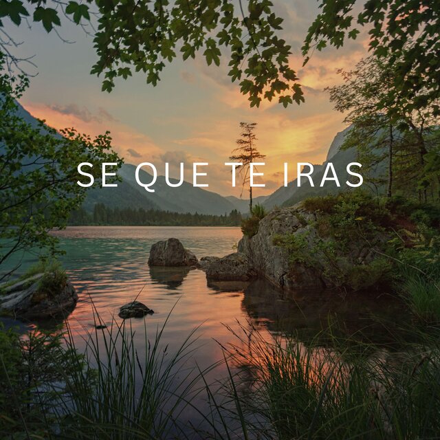SE QUE TE IRAS
