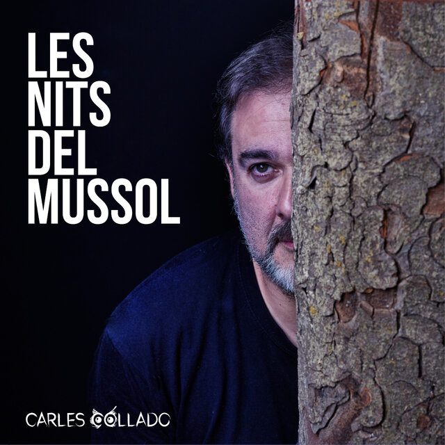 Les nits del mussol